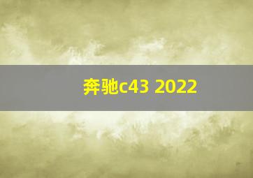 奔驰c43 2022